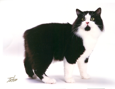 SGC, IW, MinusDeTails Northern Exposure